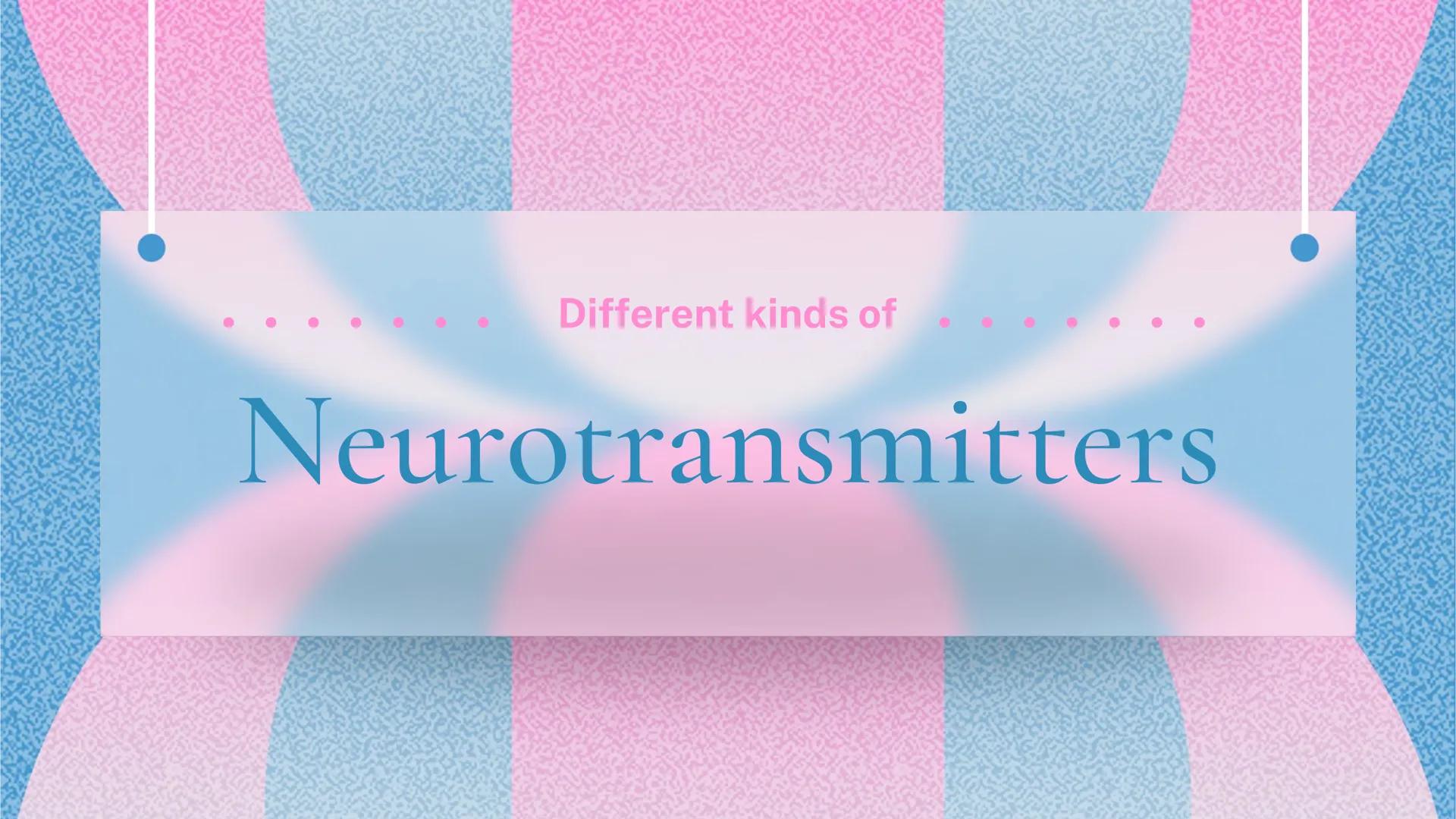 Different kinds of
Neurotransmitters Π

Acetylcholine

• Excitatory

• Functions: muscles, memory,
learning, and attention

• Surplus leads 