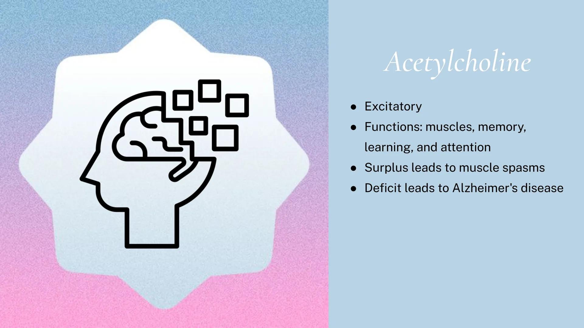 Different kinds of
Neurotransmitters Π

Acetylcholine

• Excitatory

• Functions: muscles, memory,
learning, and attention

• Surplus leads 