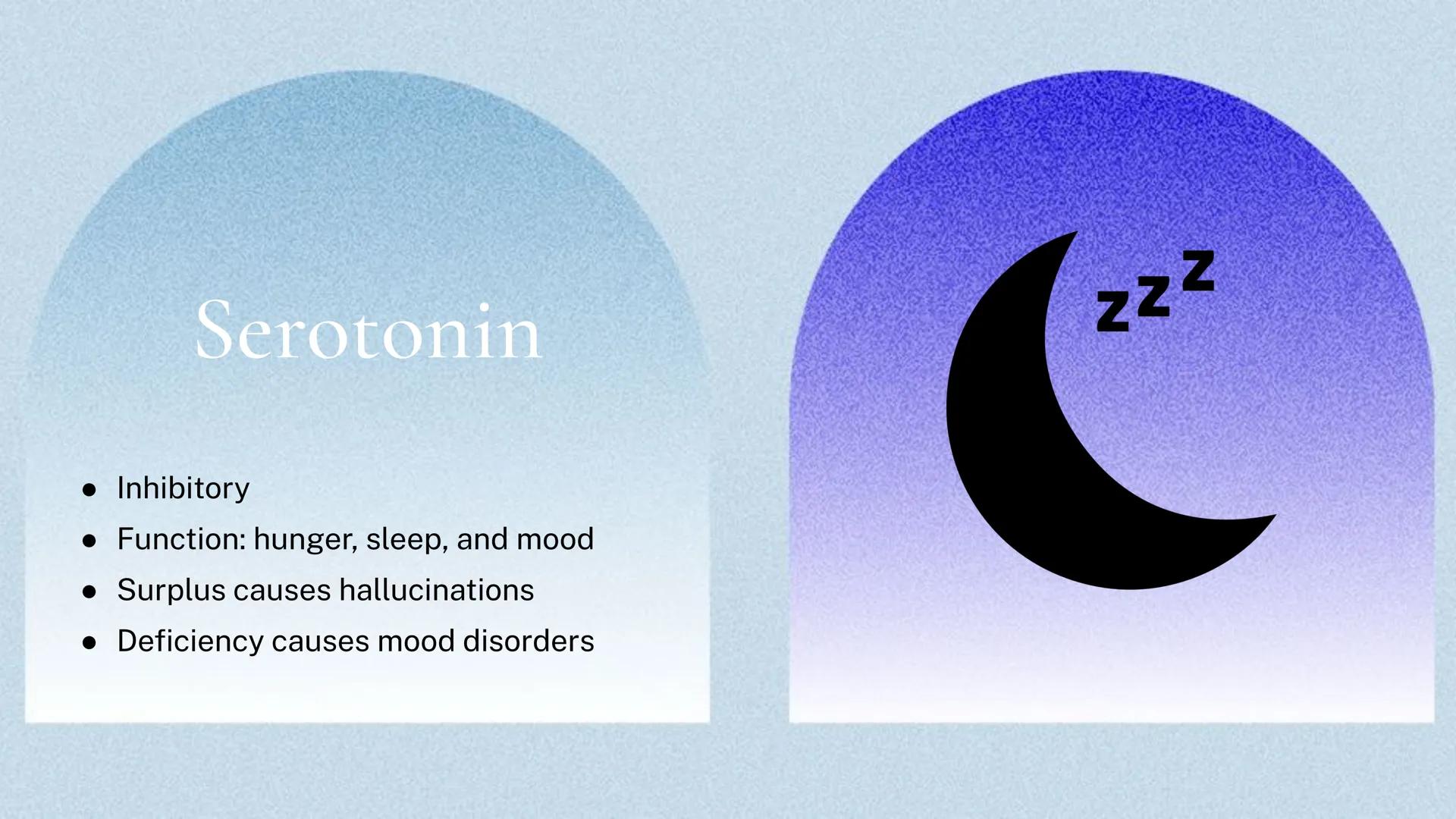 Different kinds of
Neurotransmitters Π

Acetylcholine

• Excitatory

• Functions: muscles, memory,
learning, and attention

• Surplus leads 