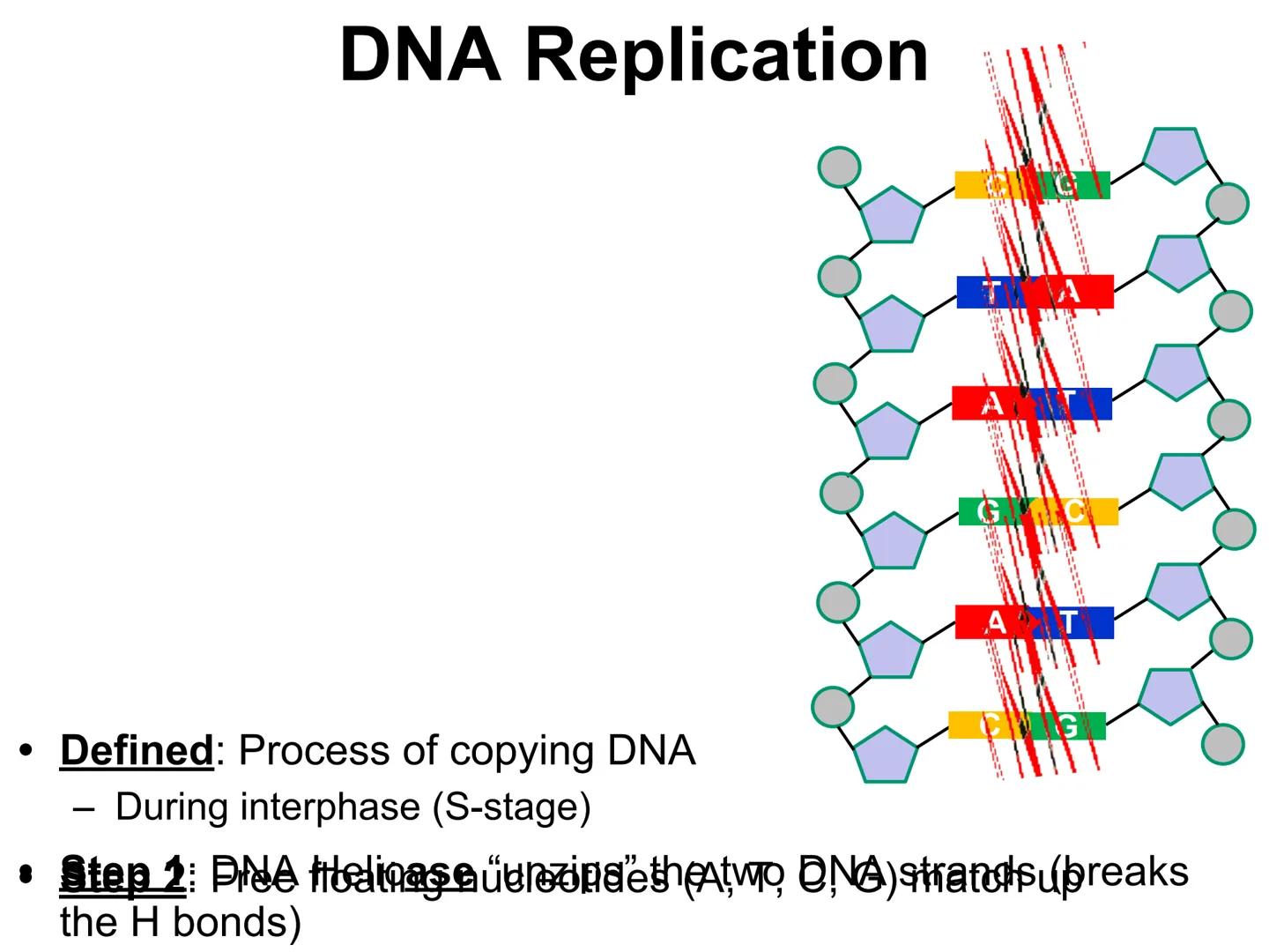 001000110000001000000009AC0001100000010
110000000000000101000
0001110
0011111100101GGCTG
0000000000000
01
0
10001
110000001000
0
10011111100