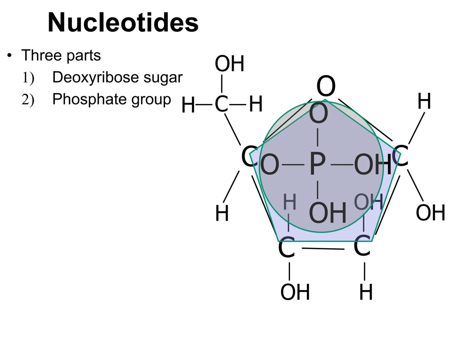 001000110000001000000009AC0001100000010
110000000000000101000
0001110
0011111100101GGCTG
0000000000000
01
0
10001
110000001000
0
10011111100