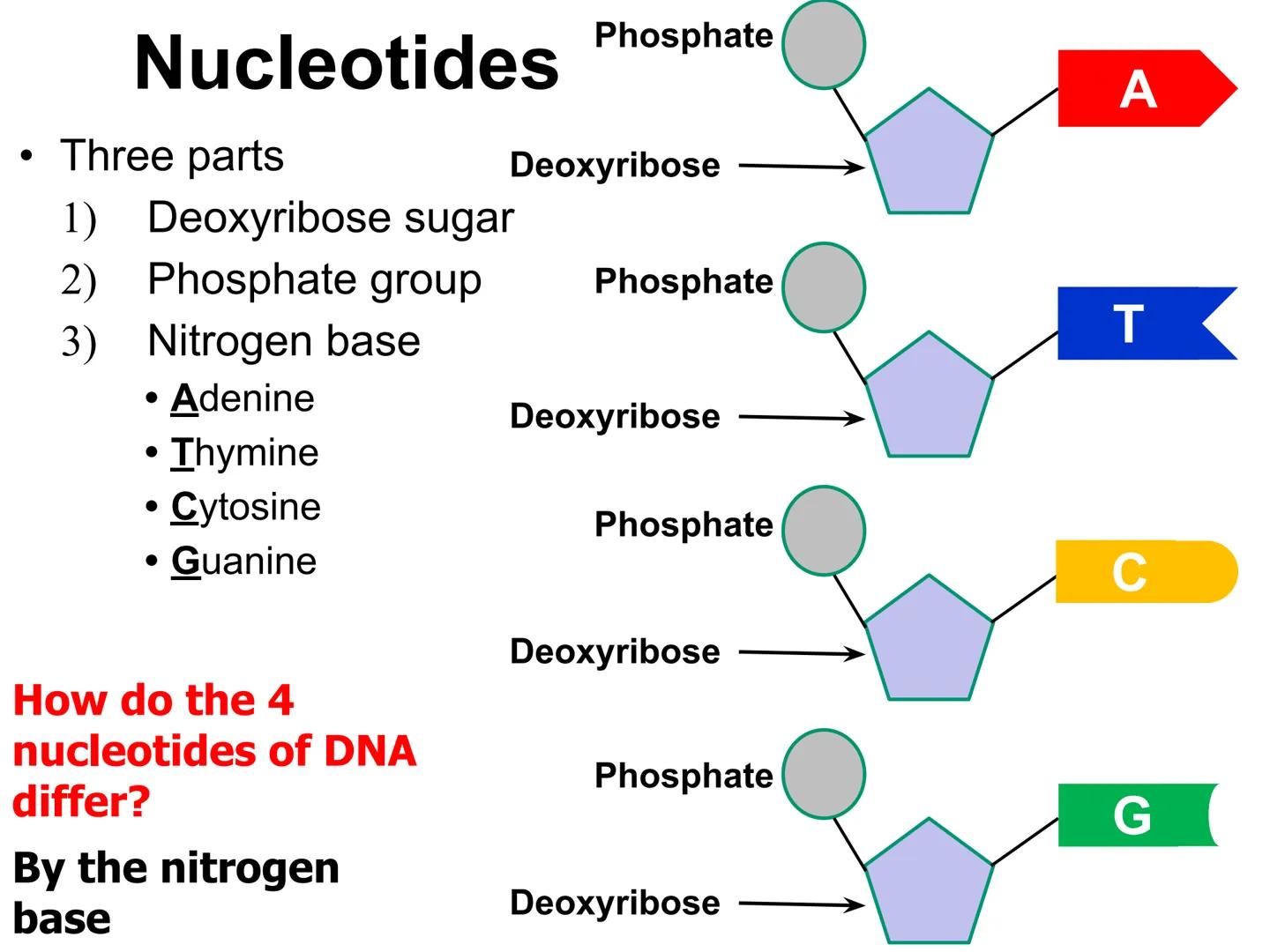 001000110000001000000009AC0001100000010
110000000000000101000
0001110
0011111100101GGCTG
0000000000000
01
0
10001
110000001000
0
10011111100