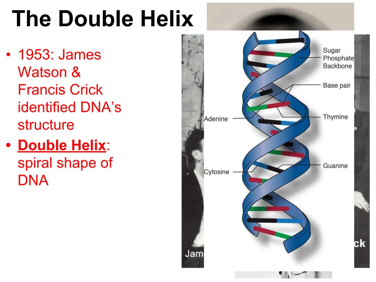 001000110000001000000009AC0001100000010
110000000000000101000
0001110
0011111100101GGCTG
0000000000000
01
0
10001
110000001000
0
10011111100