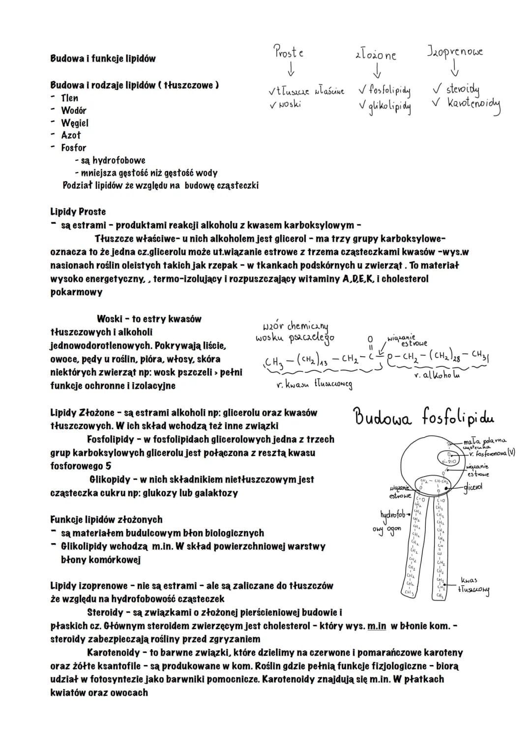 # Budowa i funkcje lipidów

Budowa i rodzaje lipidów (tłuszczowe)
- Tlen
- Wodór
- Węgiel
- Azot
- Fosfor

- są hydrofobowe
- mniejsza gęsto