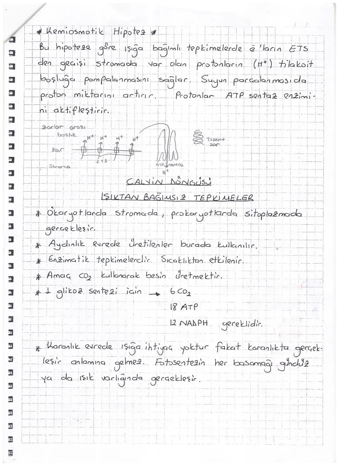 AYDINLIK EVRE

20
Işık
ATP
www Klorofil
20
ETS
H₂O 2e + H+H+ + 1/2O2
→ NADP+
2 ΝΑΔΡΗ
Atmosfere verilir.

Fotofosforilasyon Klorofilden ayrıl