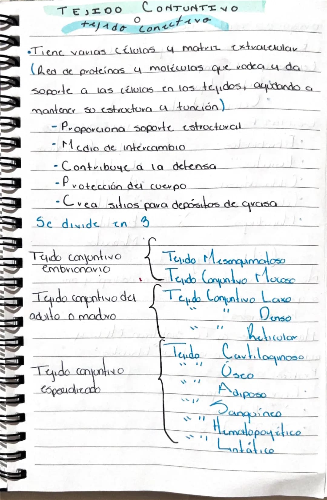 # TEJIDO CONTUNTIVO

tejido conectero

•Tiene varias células y matriz extracelular 1

(Red de proteínas y moléculas que vodea y da

soporte 