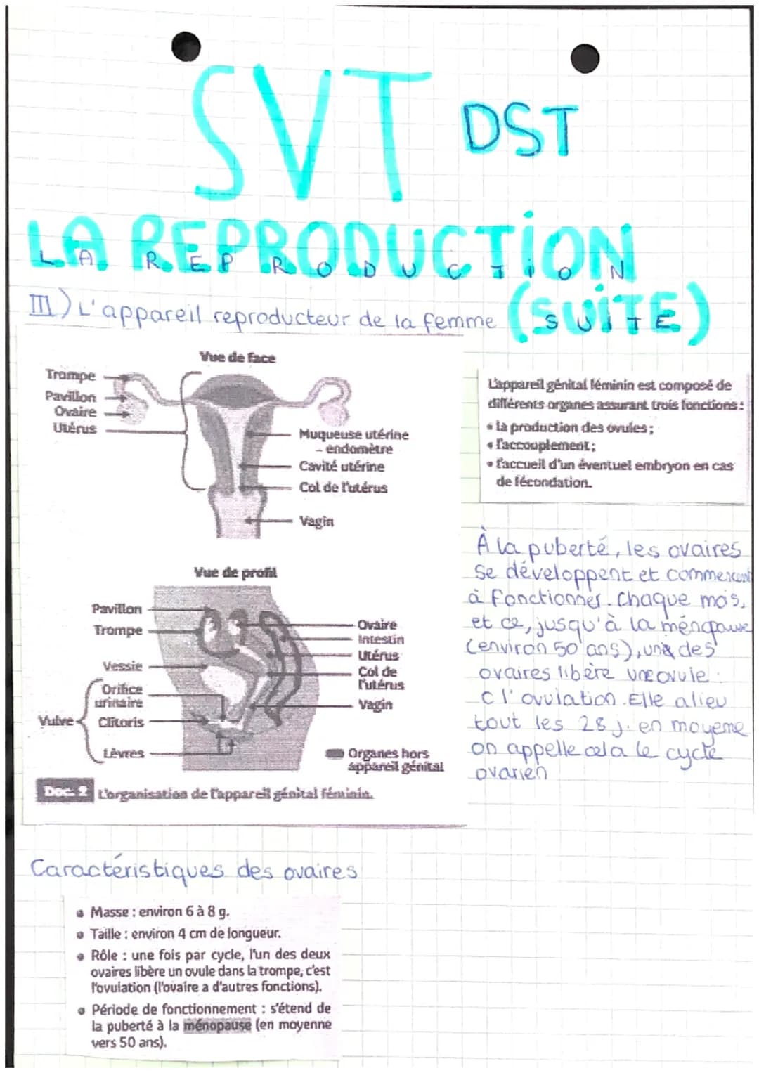 LA
REPROD
U
DST
CTION
I. De la naissance alla puberté : le passage de l'enfance à
L'âge aduite
En quoi un garçon et une fille sont-ils diffe