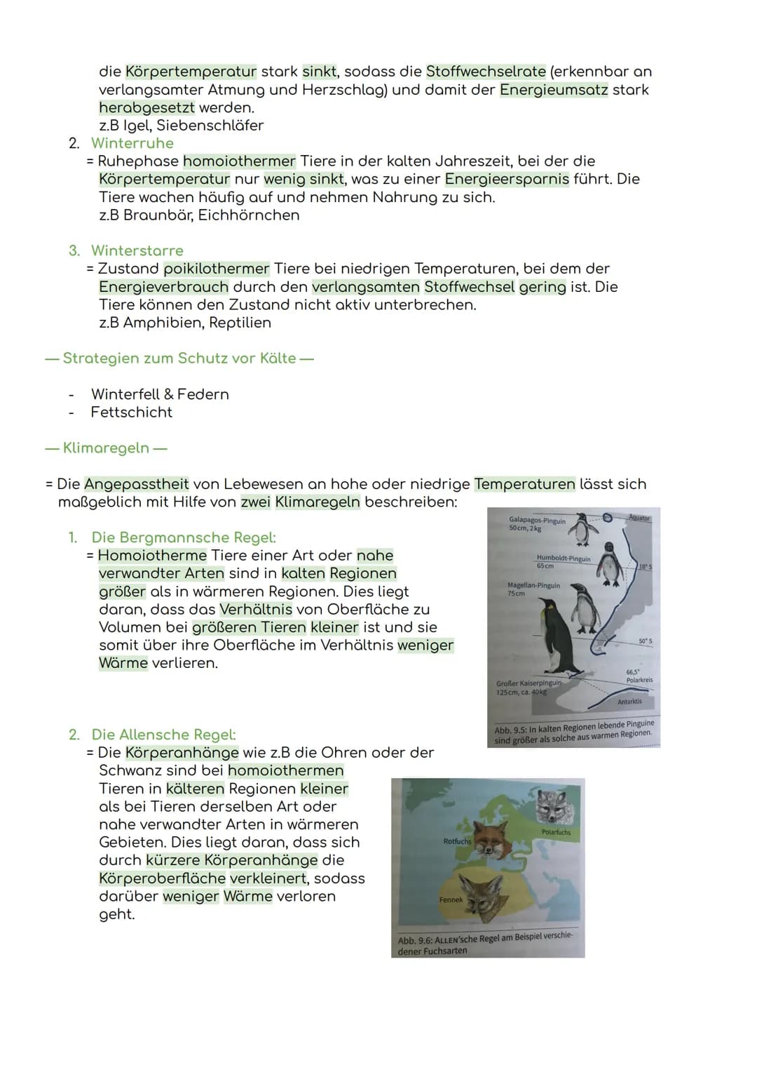 - Komponenten eines Ökosystems

Übersicht Ökologie

Biosphäre
= die Gesamtheit der Ökosysteme auf der Erde

Ökosystem
= eine funktionelle Ei