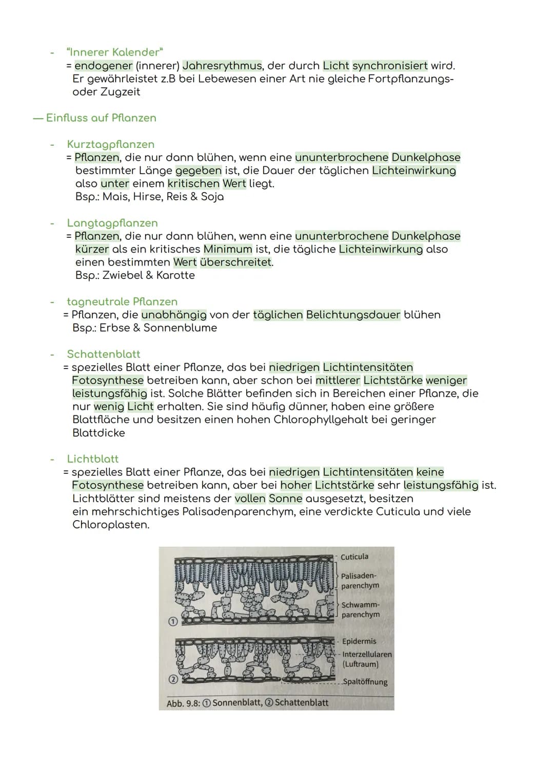 - Komponenten eines Ökosystems

Übersicht Ökologie

Biosphäre
= die Gesamtheit der Ökosysteme auf der Erde

Ökosystem
= eine funktionelle Ei