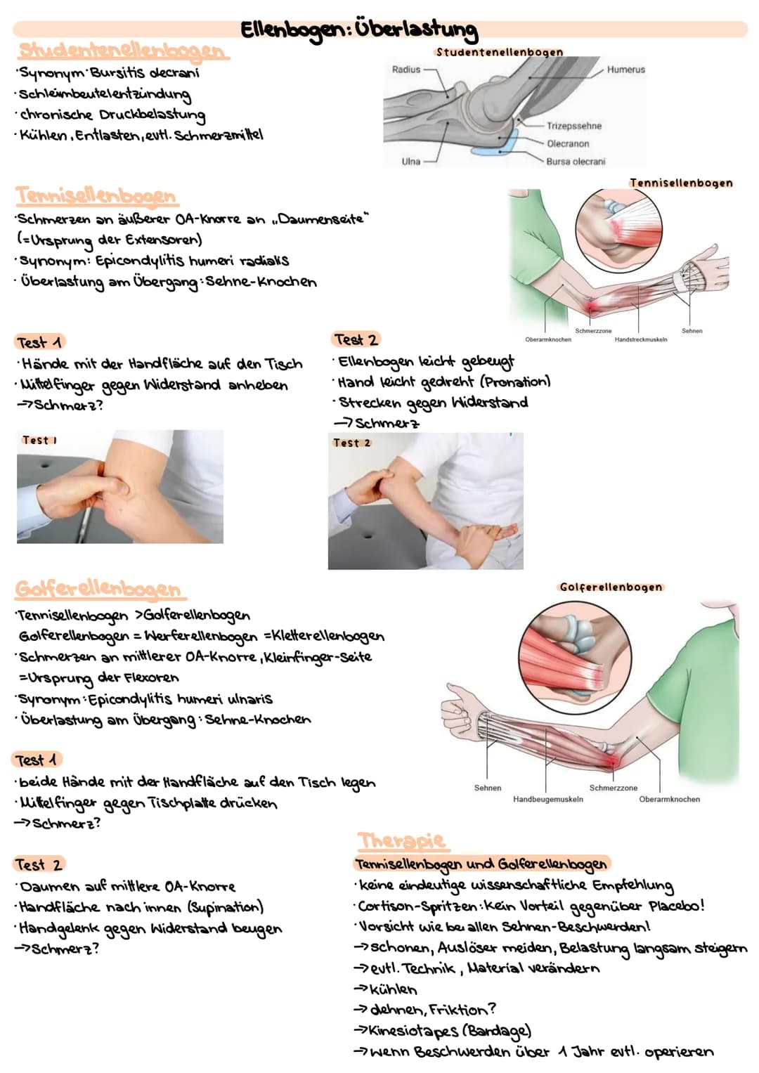 # Obere Extrimitäten

## Oberarm-Knochen (Humerus)

* typischer langer Röhrenknochen"
* Kopf-Hals-Schaft
* Ansatz und Ursprung diverser Musk