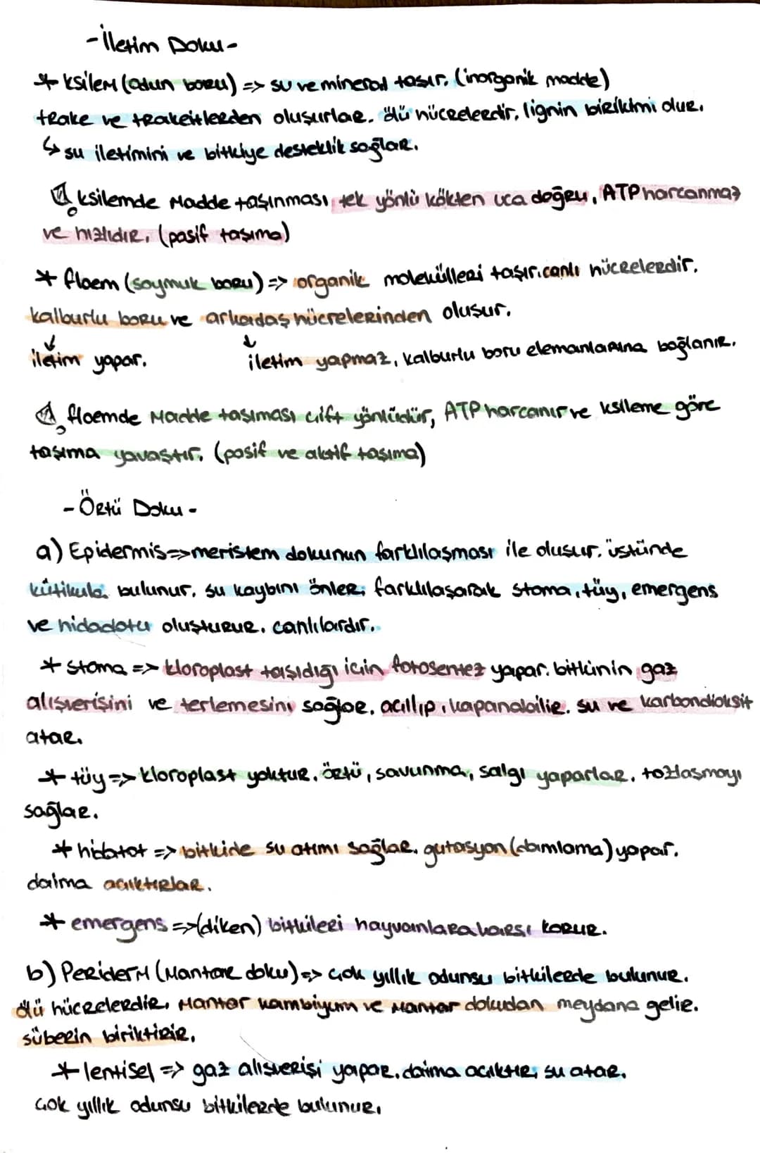 # -İletim Doku-

* ksilem (adun boru) ⇒ su ve minerad taşır. (inorganik madde)

trake ve trakeitlerden oluşurlar. dü nücrelerdir, lignin bir
