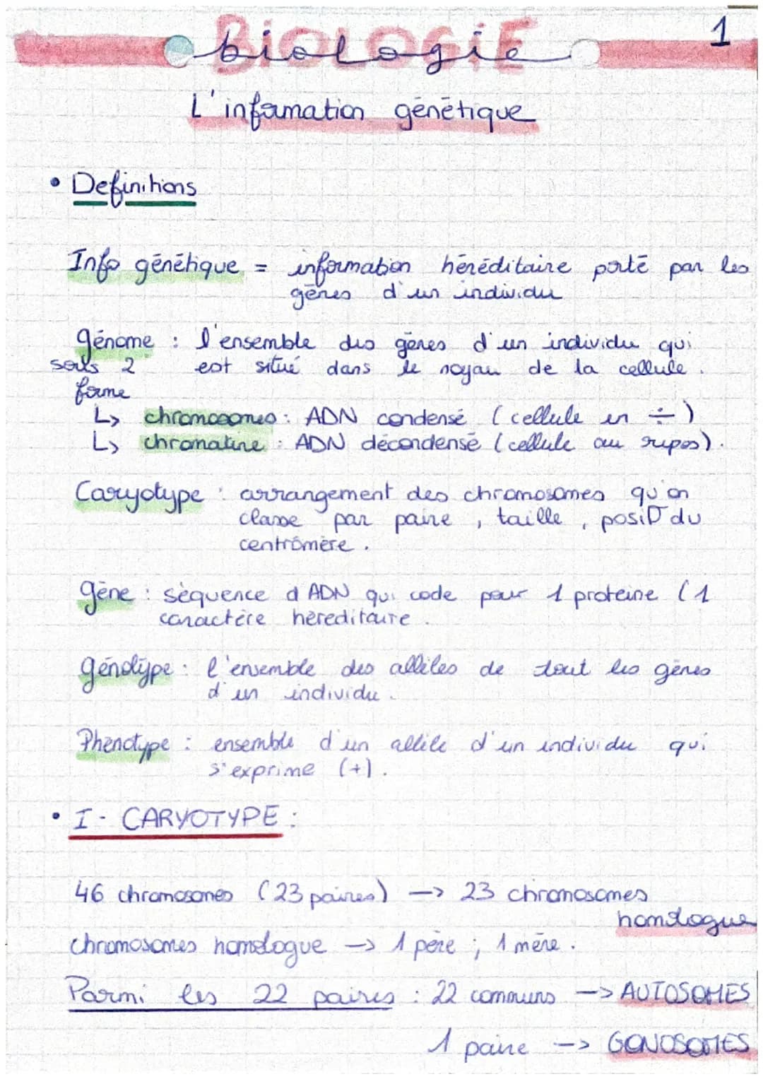 # BIOLOgie

L'information génétique

1

*   Definitions

Info génétique = information héréditaire porté par les
gènes d'un individu

génome: