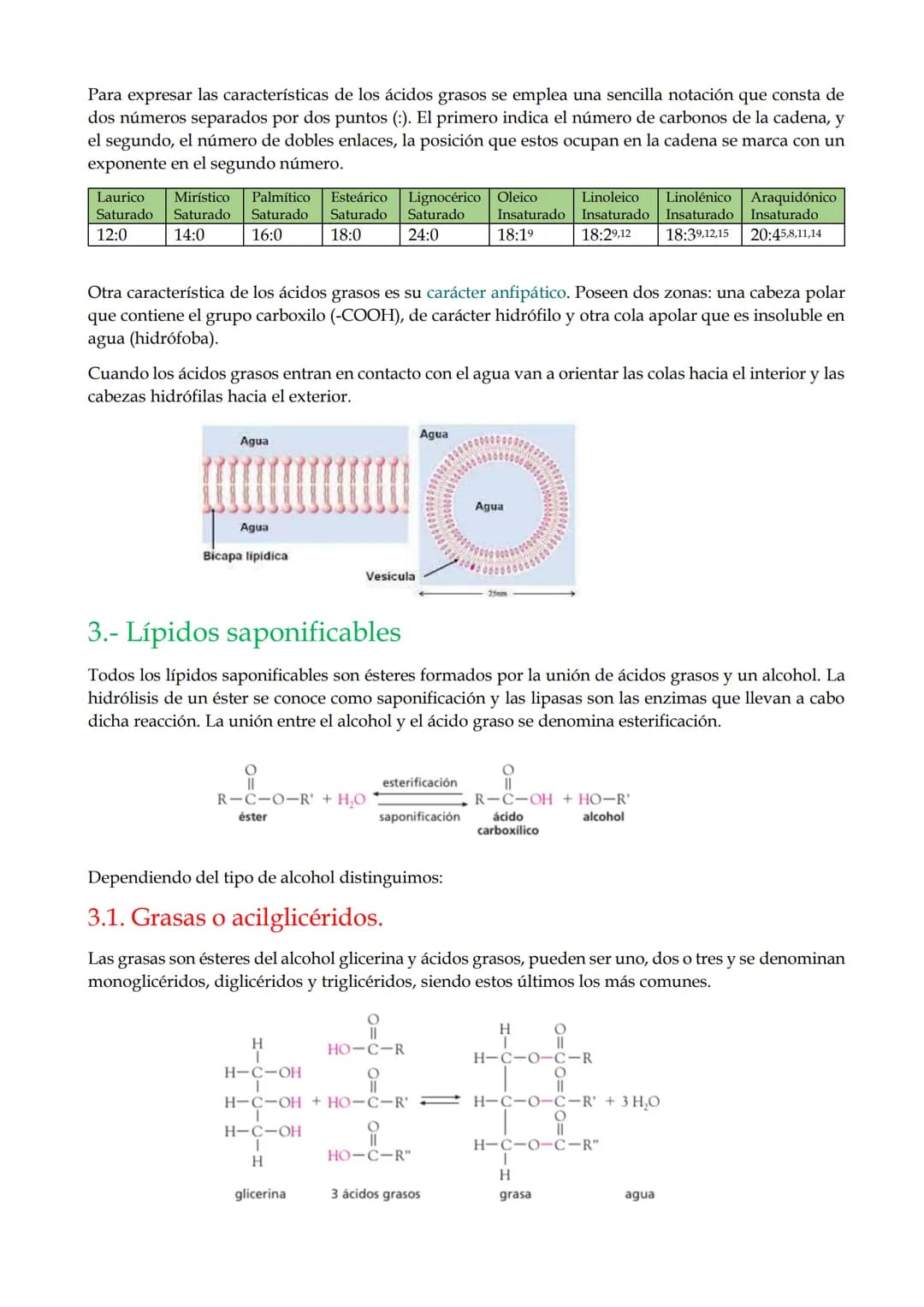 # TEMA 8. Lípidos

1.- Características generales y clasificación.

2.- Ácidos grasos.

3.- Lípidos saponificables.

4.- Lípidos insaponifica