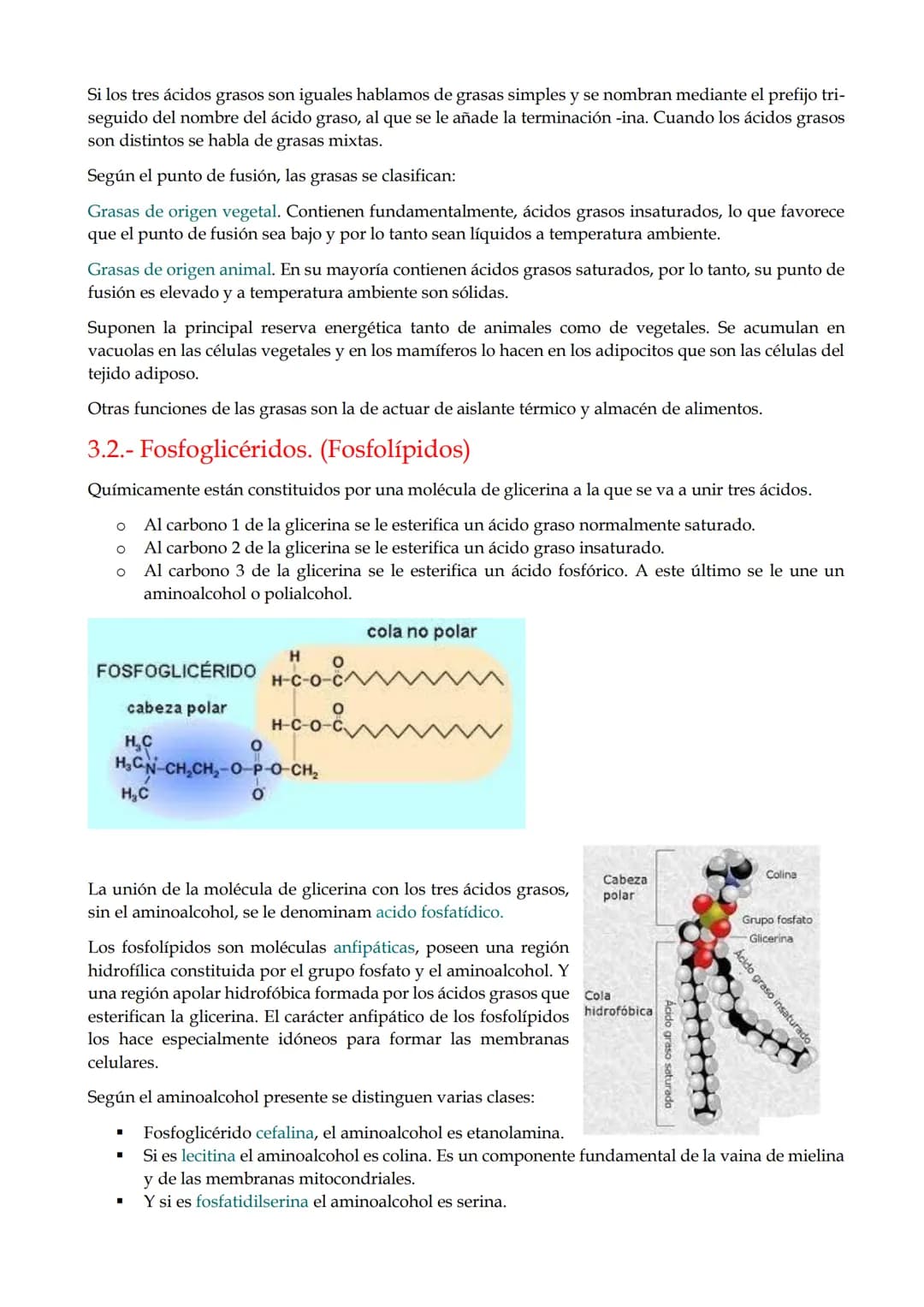 # TEMA 8. Lípidos

1.- Características generales y clasificación.

2.- Ácidos grasos.

3.- Lípidos saponificables.

4.- Lípidos insaponifica