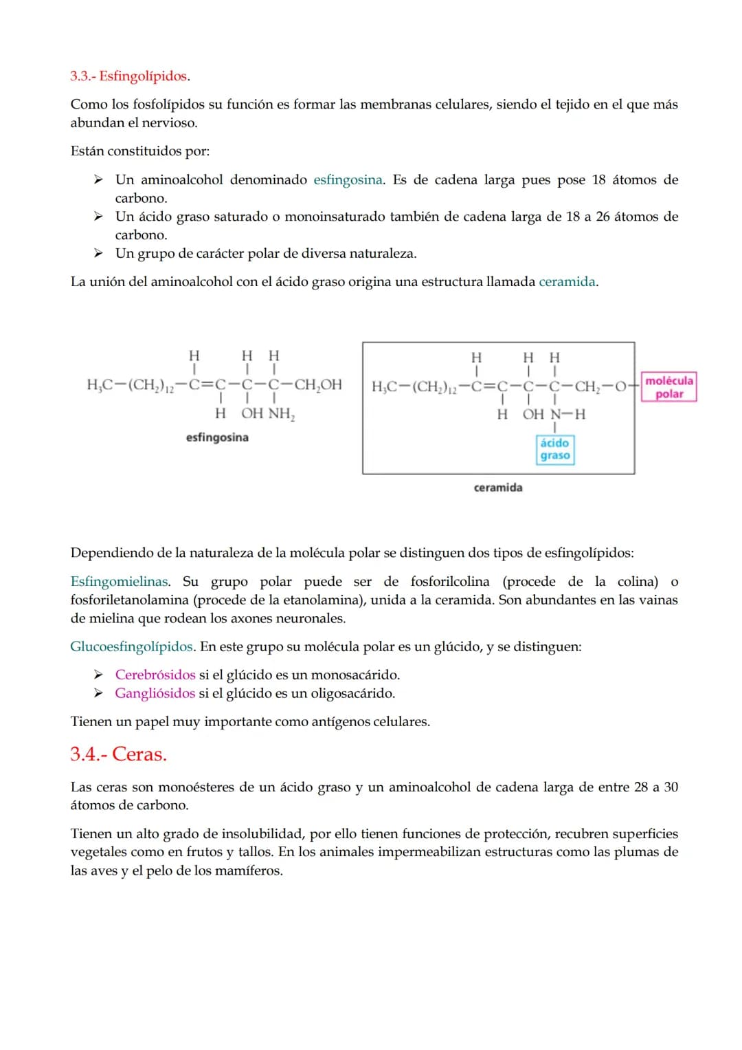 # TEMA 8. Lípidos

1.- Características generales y clasificación.

2.- Ácidos grasos.

3.- Lípidos saponificables.

4.- Lípidos insaponifica