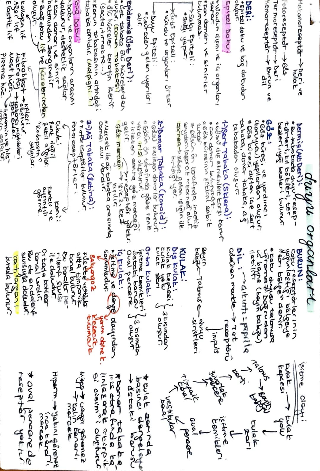 Metanoreseptör Deri ve
kulat
Fotoreseptor 682
Ter moreseptor Deri
Kemoreseptor Bugun ve
dil
DERI:
*Epitel doku ve
이탈리
Epitel Doku
bag dokudo