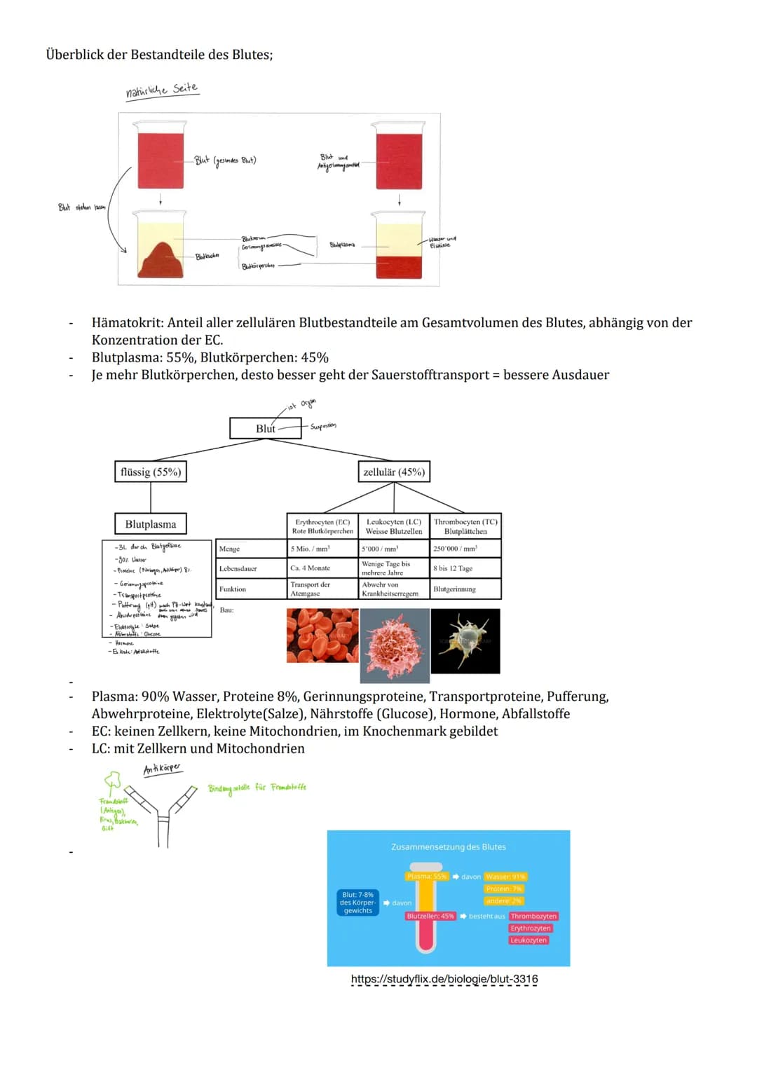 .... Biologieprüfung 4.2..

3.1 Grosser und
kleiner Blutkreislauf

- Du kennst die Hauptwege des Blutes durch unseren
Körper.
- Du kannst un