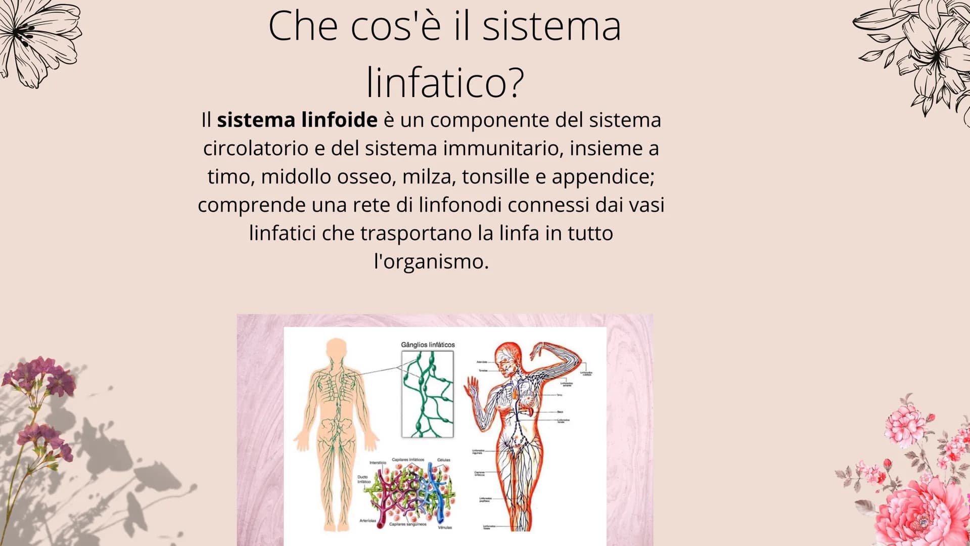 # Sistema linfatico

- tonsille
- timo
- dotto toracico
- milza
- linfonodi
- linfonodi # Che cos'è il sistema
linfatico?

|| sistema linfoi