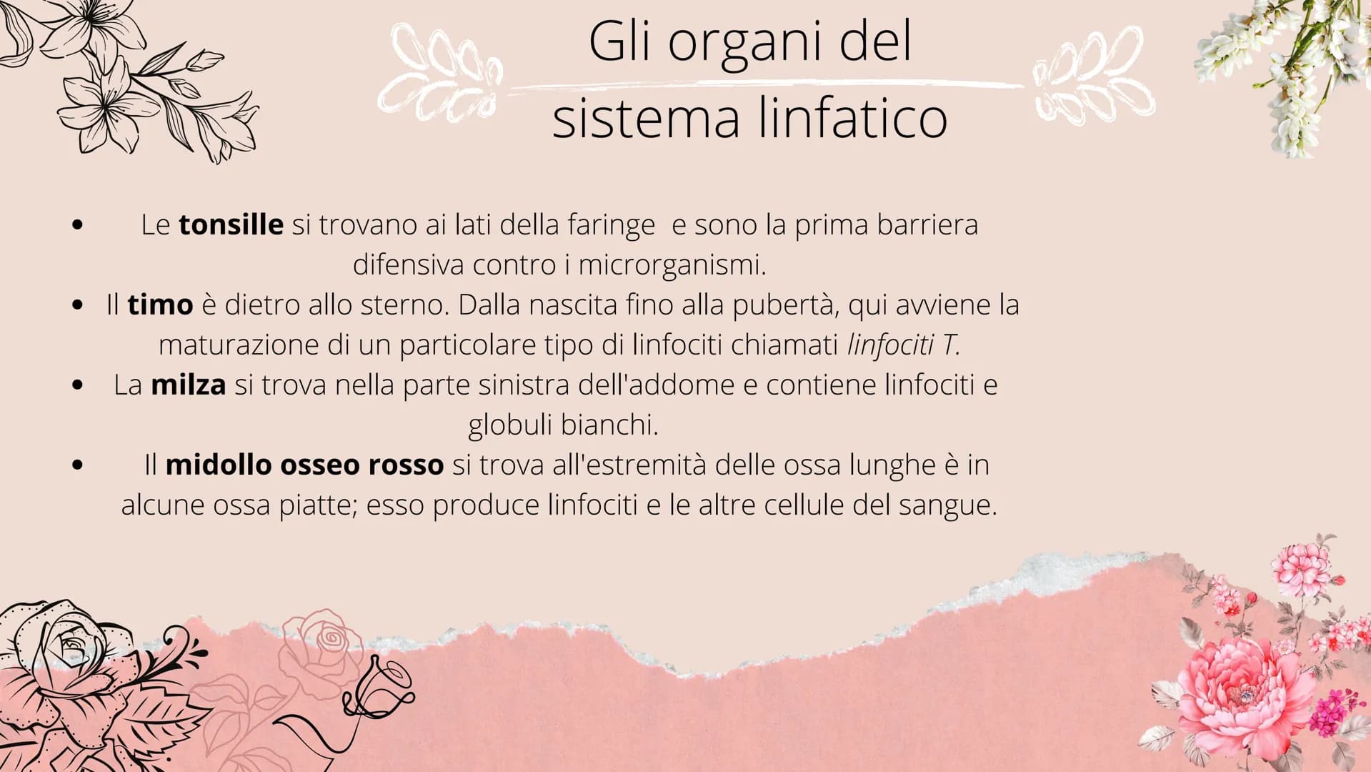 # Sistema linfatico

- tonsille
- timo
- dotto toracico
- milza
- linfonodi
- linfonodi # Che cos'è il sistema
linfatico?

|| sistema linfoi