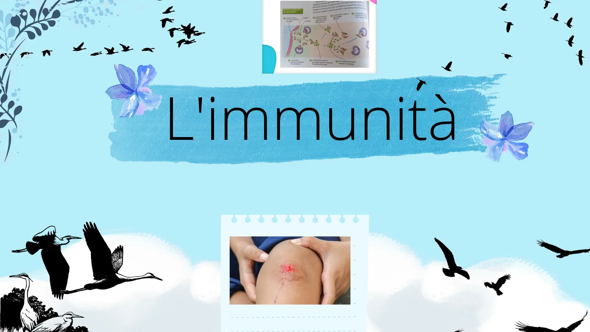 # Sistema linfatico

- tonsille
- timo
- dotto toracico
- milza
- linfonodi
- linfonodi # Che cos'è il sistema
linfatico?

|| sistema linfoi