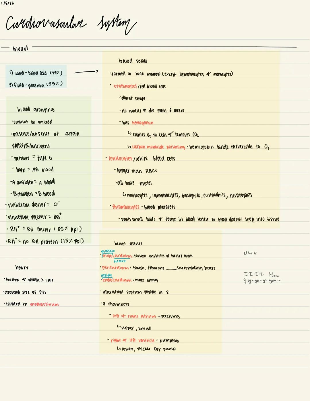 1/6/23
# Cardiovascular system

- bluod

- blood solids

1) solid-blood cells (45%)
->
- •formed in bone marrow Cexcept lymphocytes & monocy