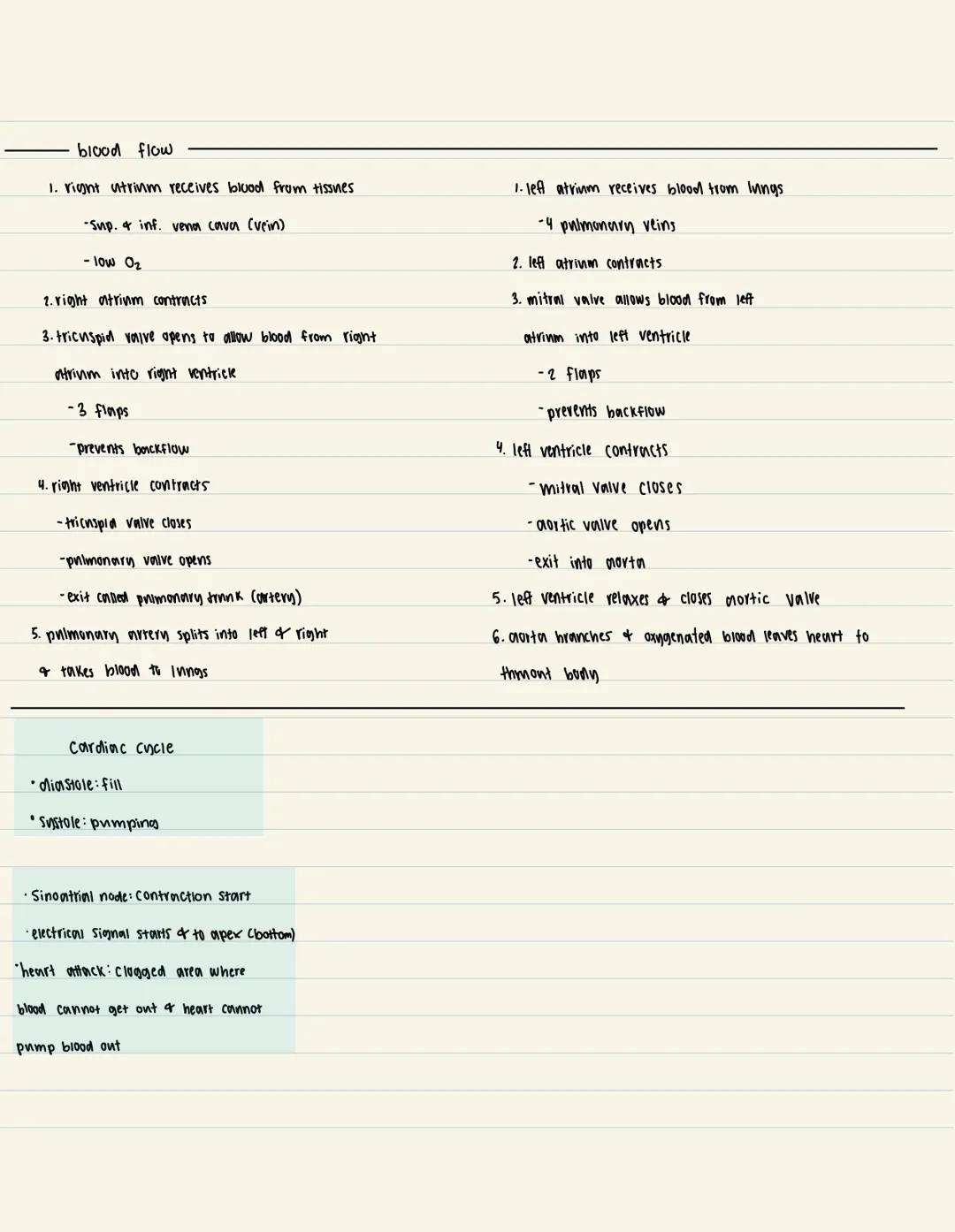 1/6/23
# Cardiovascular system

- bluod

- blood solids

1) solid-blood cells (45%)
->
- •formed in bone marrow Cexcept lymphocytes & monocy