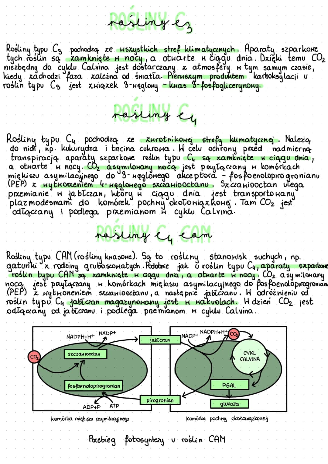 # adzymianie autotrofiezne

Odżywianie autotroficzne proces anaboliczny, który polega na wytwarzaniu
złożonych związków organicznych z prost