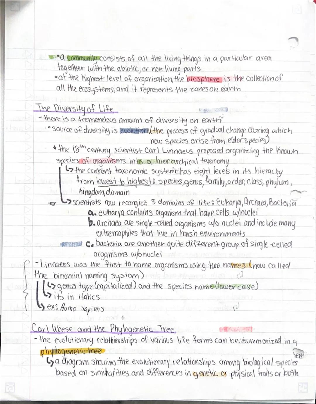 Chapter One: Introduction to Biology.

Lesson One - Themes and Concepts of Biology
-biology is the science that studies life
properties of l