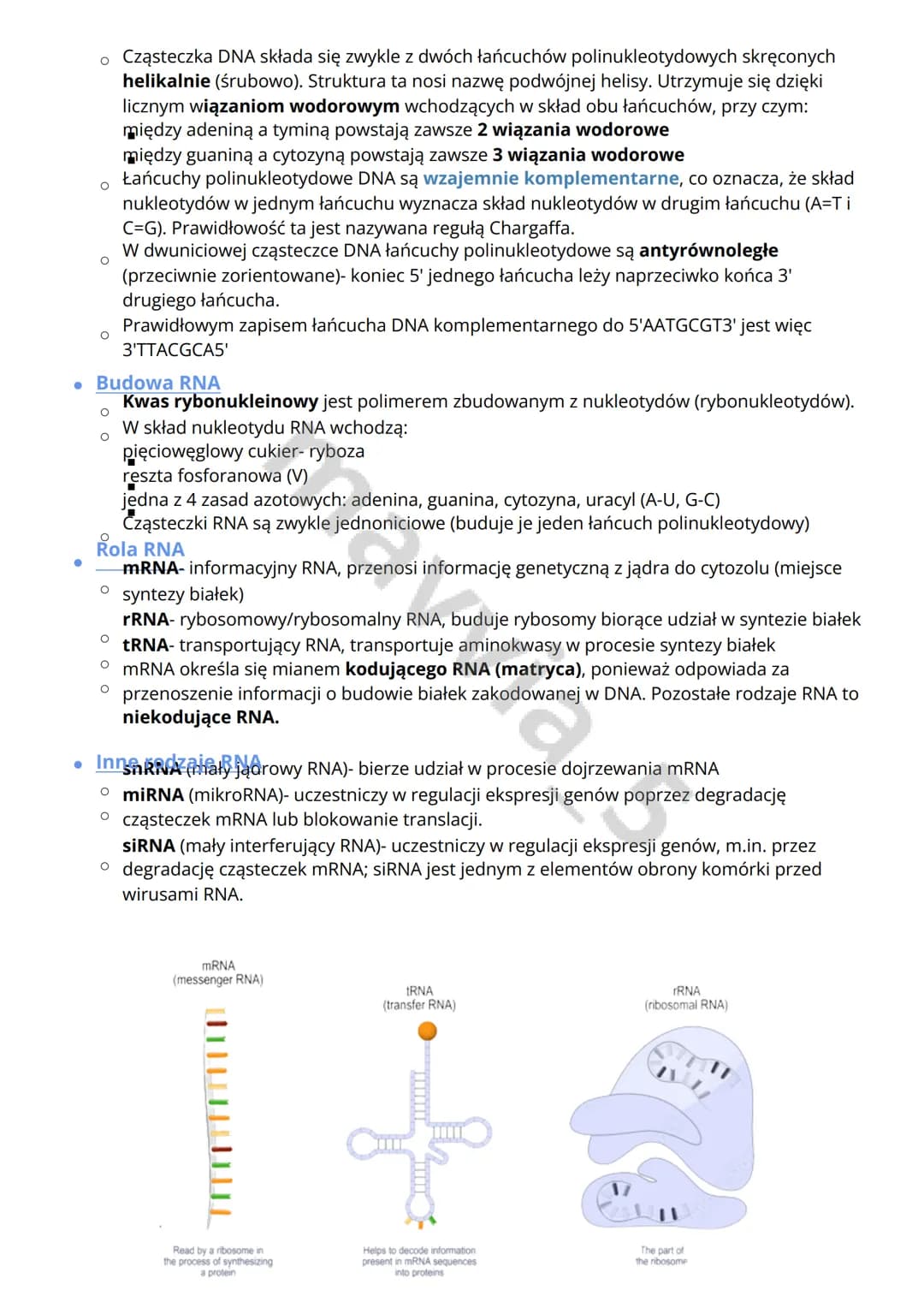 # Budowairolakwasównukleinowych

- Budowa DNA
    - Kwas deoksyrybonukleinowy zbudowany jest z 4 rodzajów nukleotydów.
    - Każdy nukleotyd