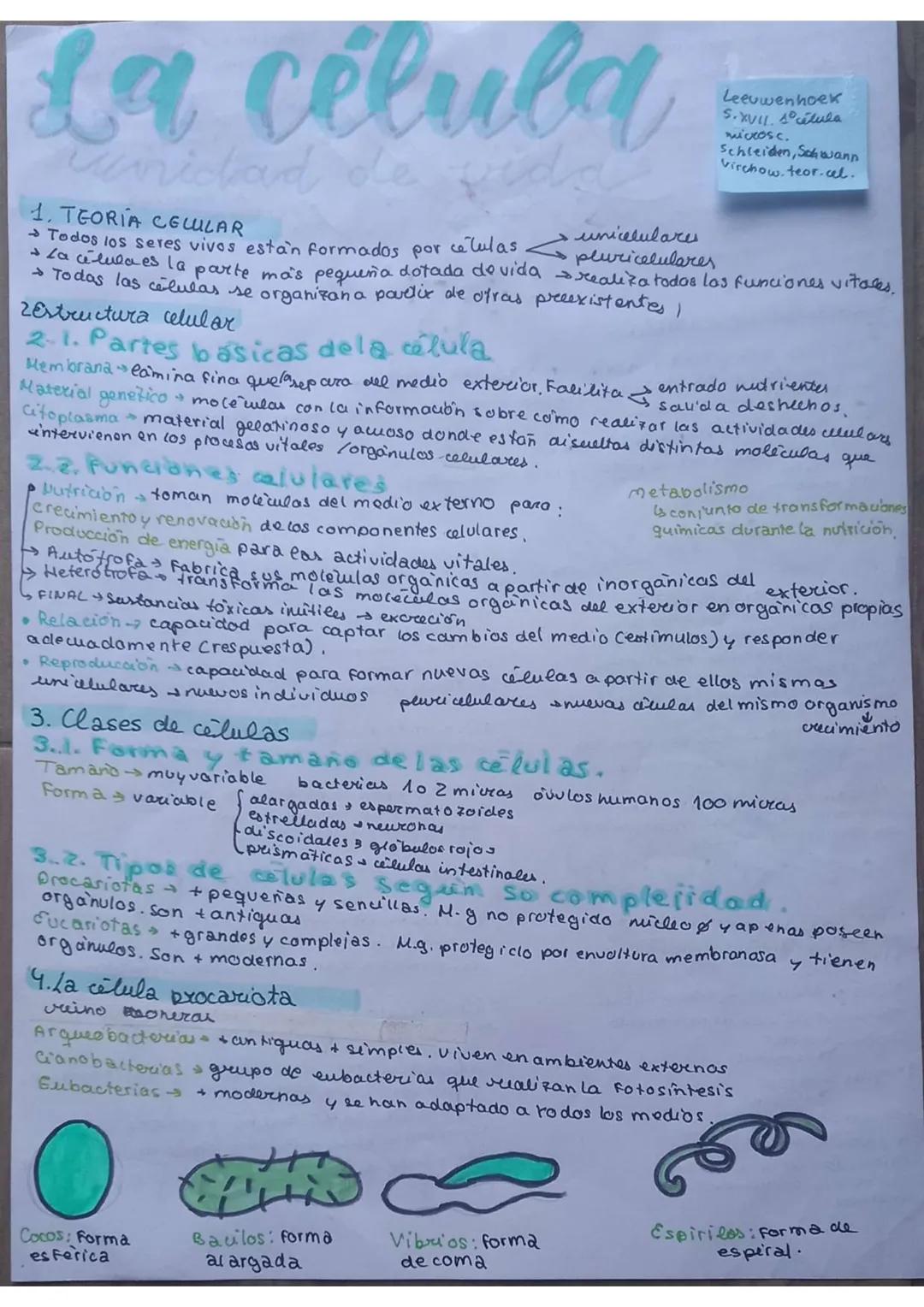 # La célula

unidad de vida

1. TEORIA CELULAR

→Todos los seres vivos están formados por células $\underset{pluricelulares}{\longrightarrow