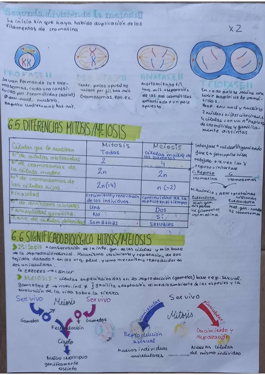 # La célula

unidad de vida

1. TEORIA CELULAR

→Todos los seres vivos están formados por células $\underset{pluricelulares}{\longrightarrow