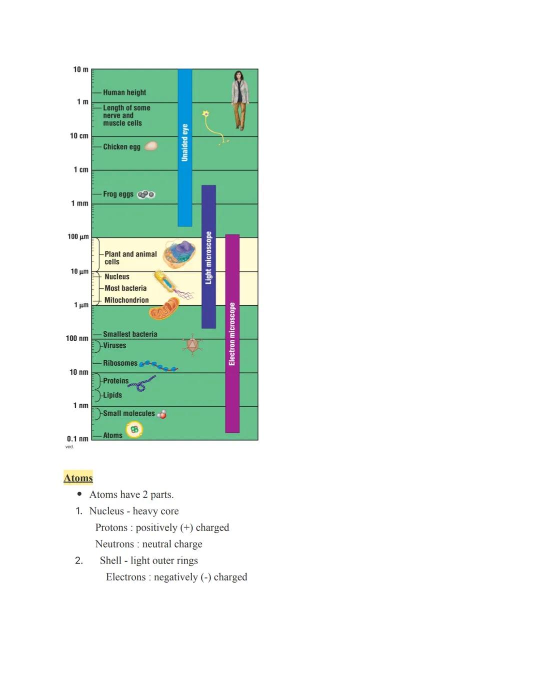 # 2: Chemistry

Matter: Elements and Compounds

*   Matter is anything that occupies space and mass.
*   Matter is found on Earth in three p
