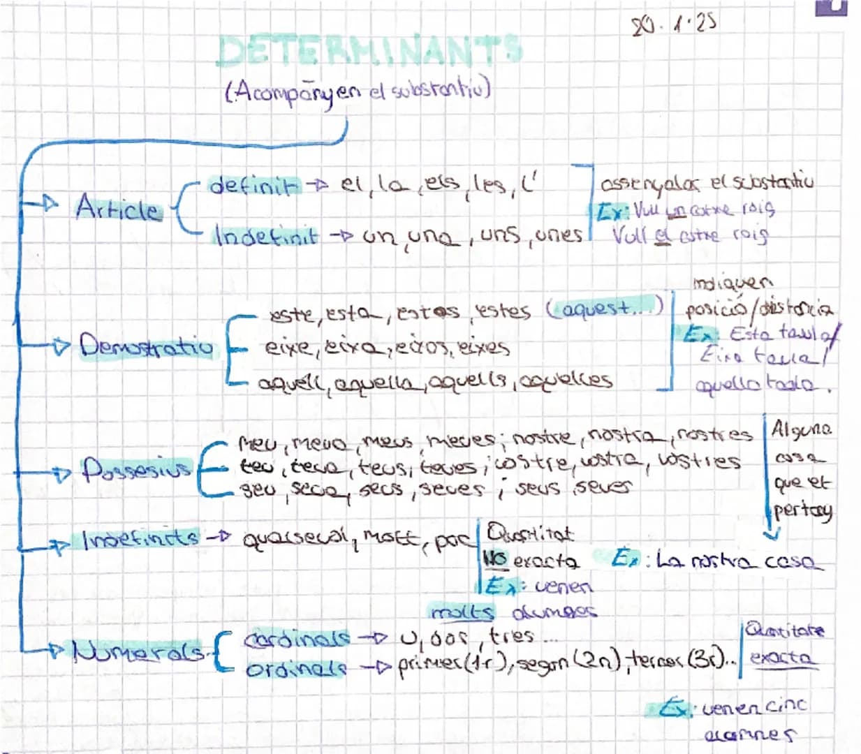 # DETERMINANTS
(Acompanyen el substantiv)
20.1.25

Article C

definitel, la, els, les, ('
assenyalos el scostantiu
Ex: Vue un cotxe roig
Ind