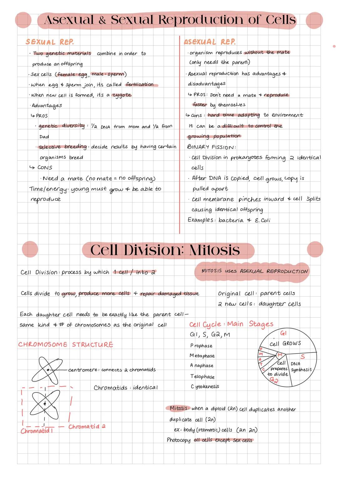 # Asexual & Sexual Reproduction of Cells

SEXUAL REP.
- Two genetic materials combine in order to
produce an offspring
- Sex cells (female e