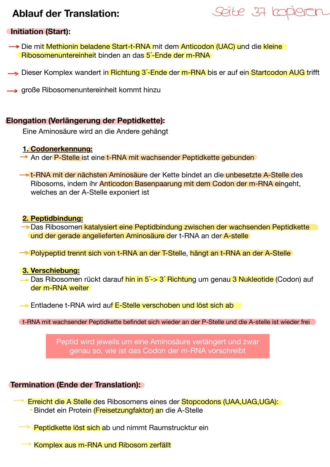 # Translation der t-RNA:
Bei der Translation wird die in der mRNA erhaltene Information in die Aminosäuresequenz der
Proteine übersetzt.
Der
