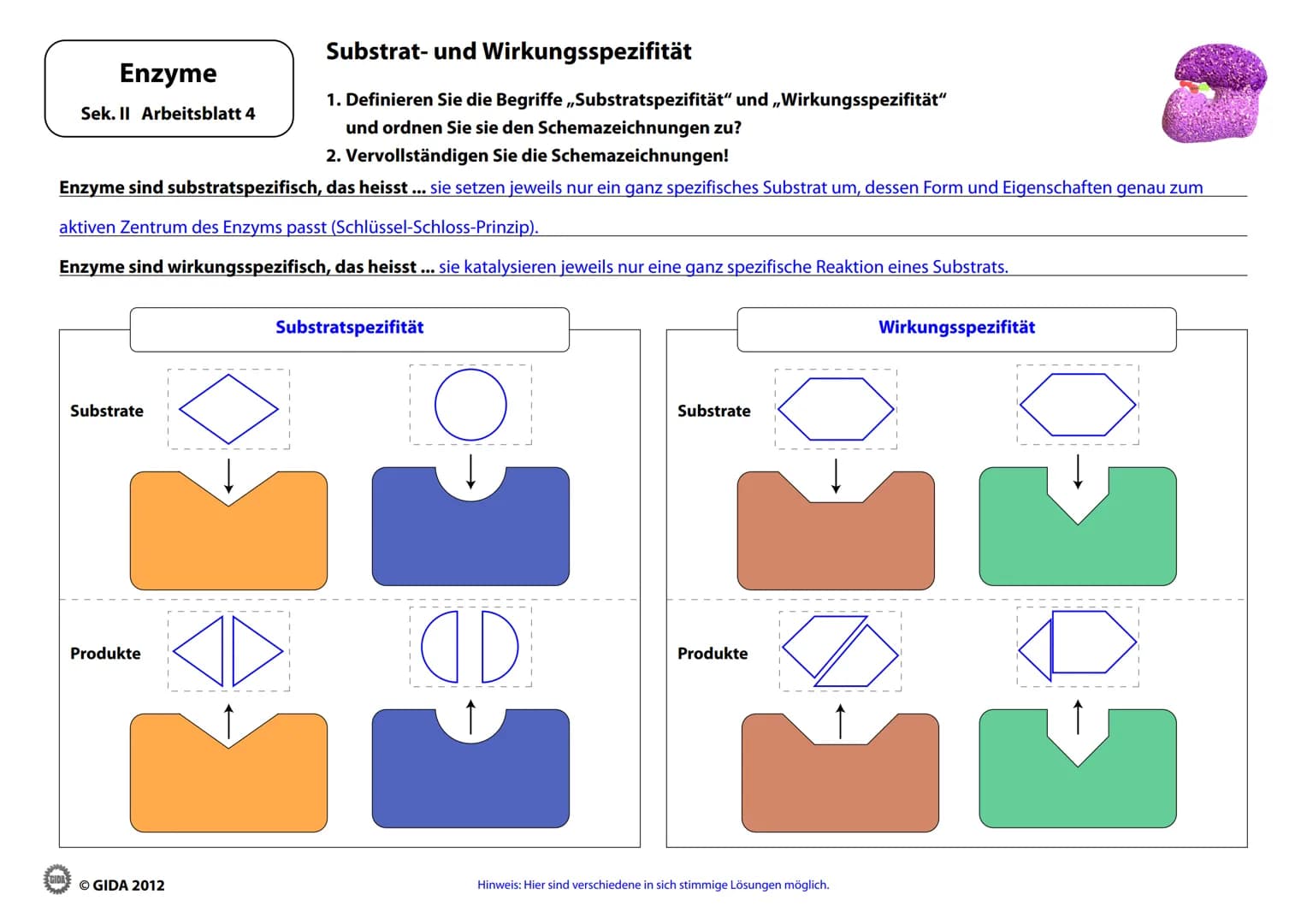 # Enzyme

Arbeitsblätter
(Lehrerversion)

© GIDA 2012 # Energiediagramm chemischer Reaktionen ohne und mit Katalysator

Enzyme

Sek. II Arbe