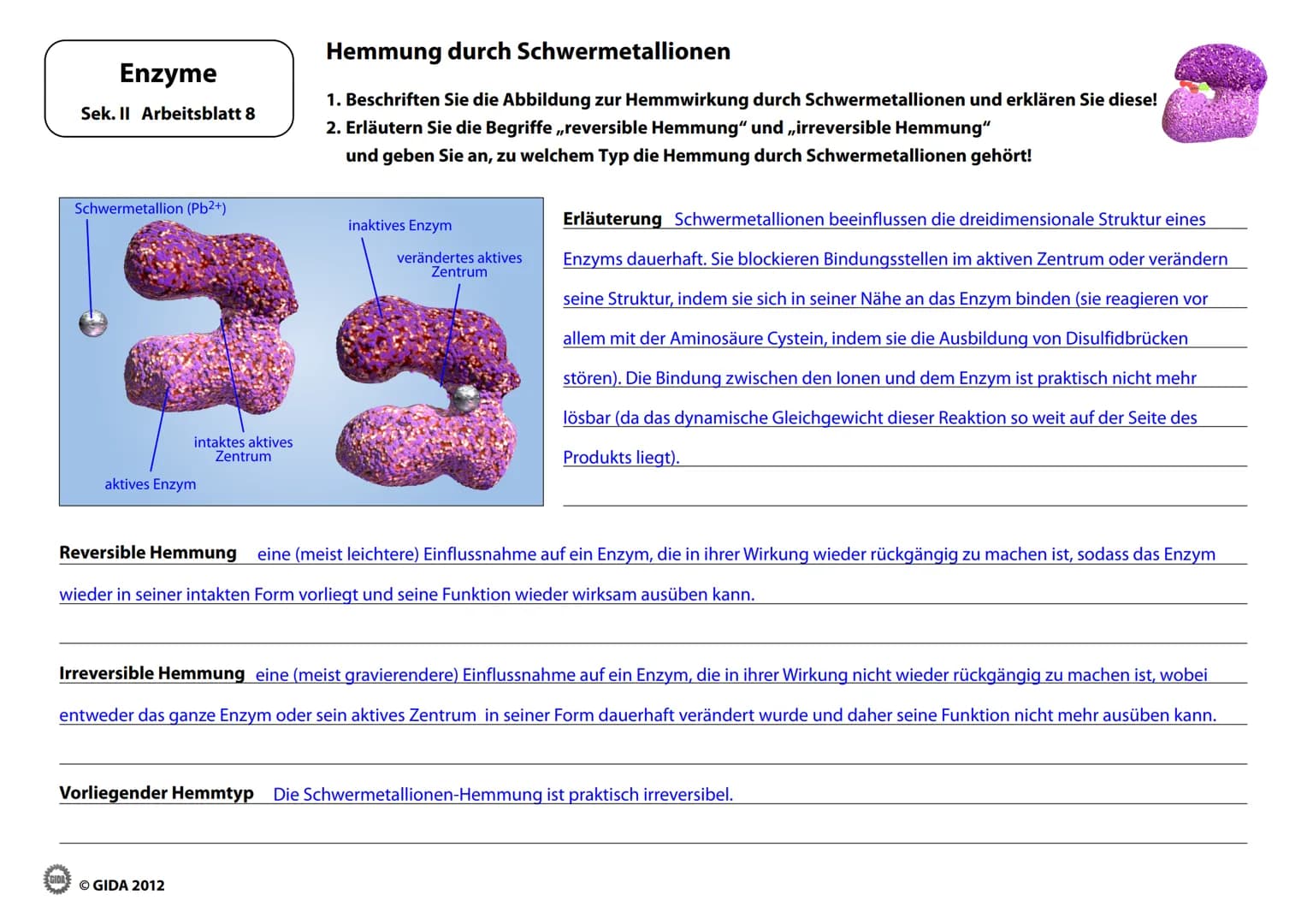 # Enzyme

Arbeitsblätter
(Lehrerversion)

© GIDA 2012 # Energiediagramm chemischer Reaktionen ohne und mit Katalysator

Enzyme

Sek. II Arbe