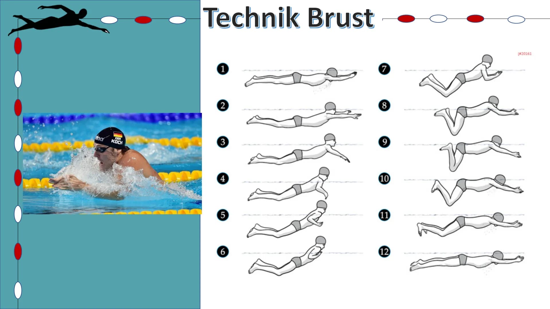 Schwimmen
Helena Kuntzsch 2021 Gliederung

1. Geschichte
2. Technik
  2.1 Delphin
  2.2 Rücken
  2.3 Brust
  2.4 Kraul
  2.5 Startsprünge
3.