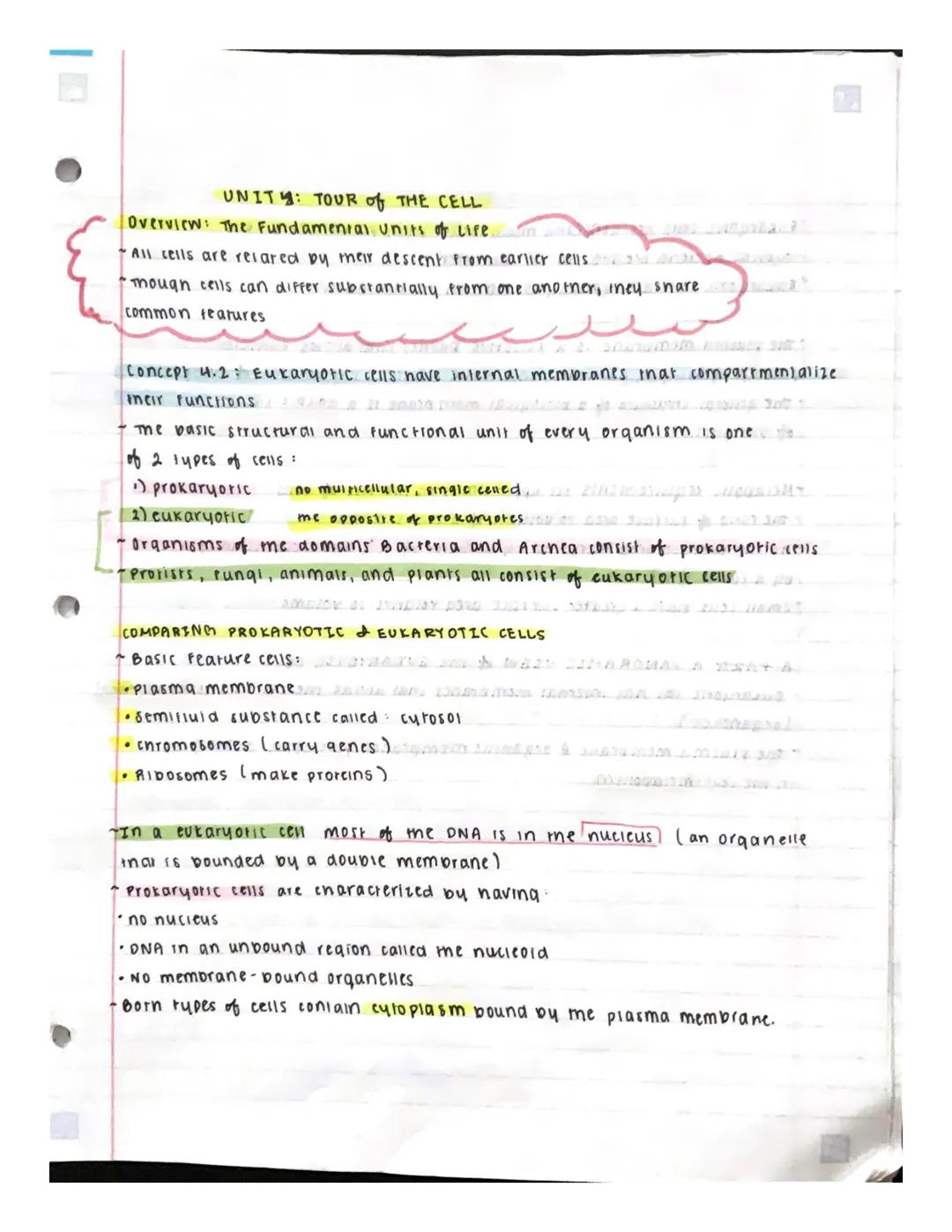 # UNITY: TOUR of THE CELL

Overview: The Fundamental units of Life.

- All cells are relared by their descent from earlier cells
- Though ce