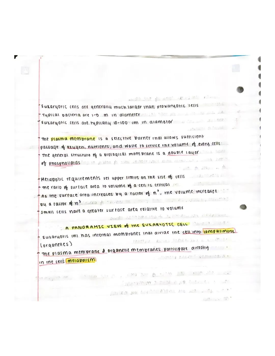 # UNITY: TOUR of THE CELL

Overview: The Fundamental units of Life.

- All cells are relared by their descent from earlier cells
- Though ce