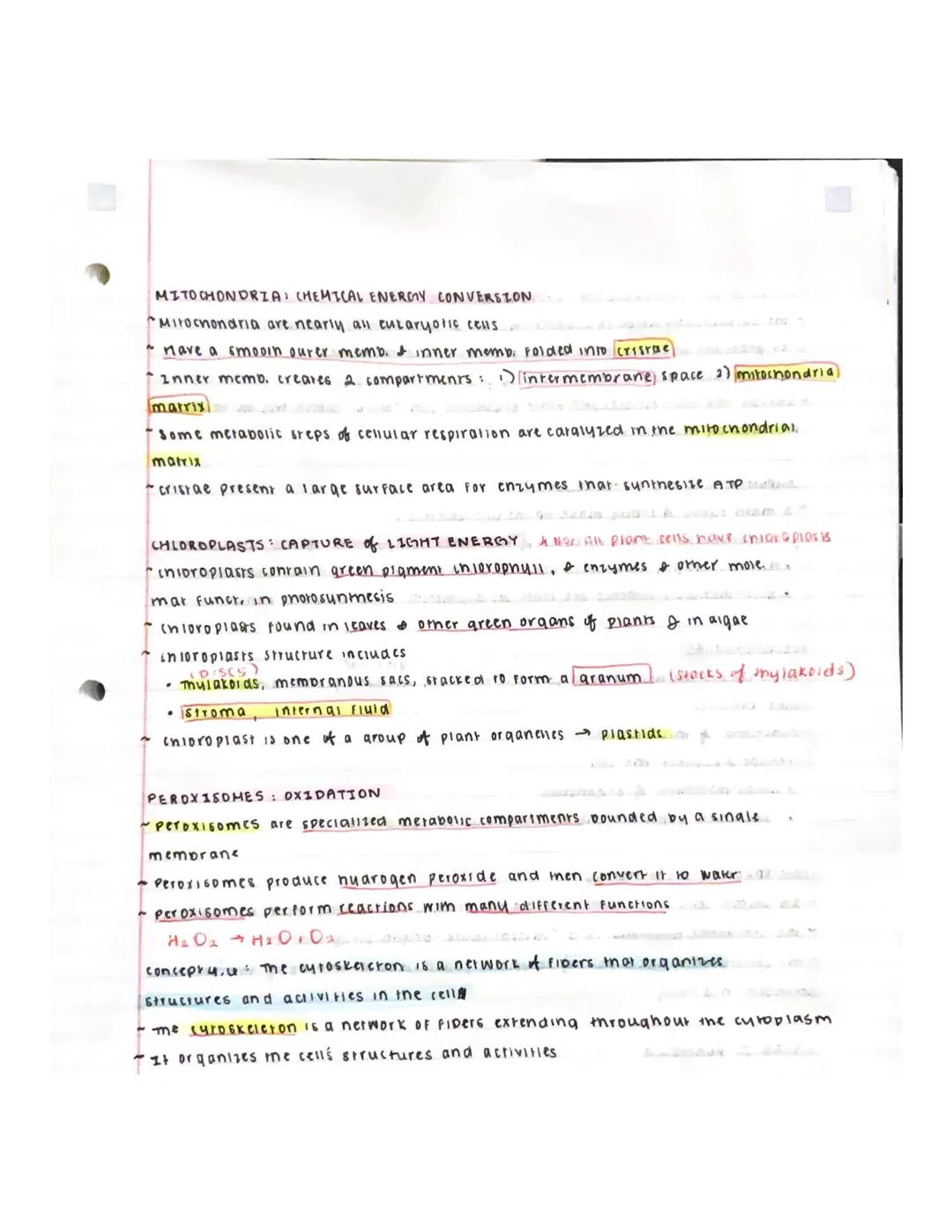 # UNITY: TOUR of THE CELL

Overview: The Fundamental units of Life.

- All cells are relared by their descent from earlier cells
- Though ce