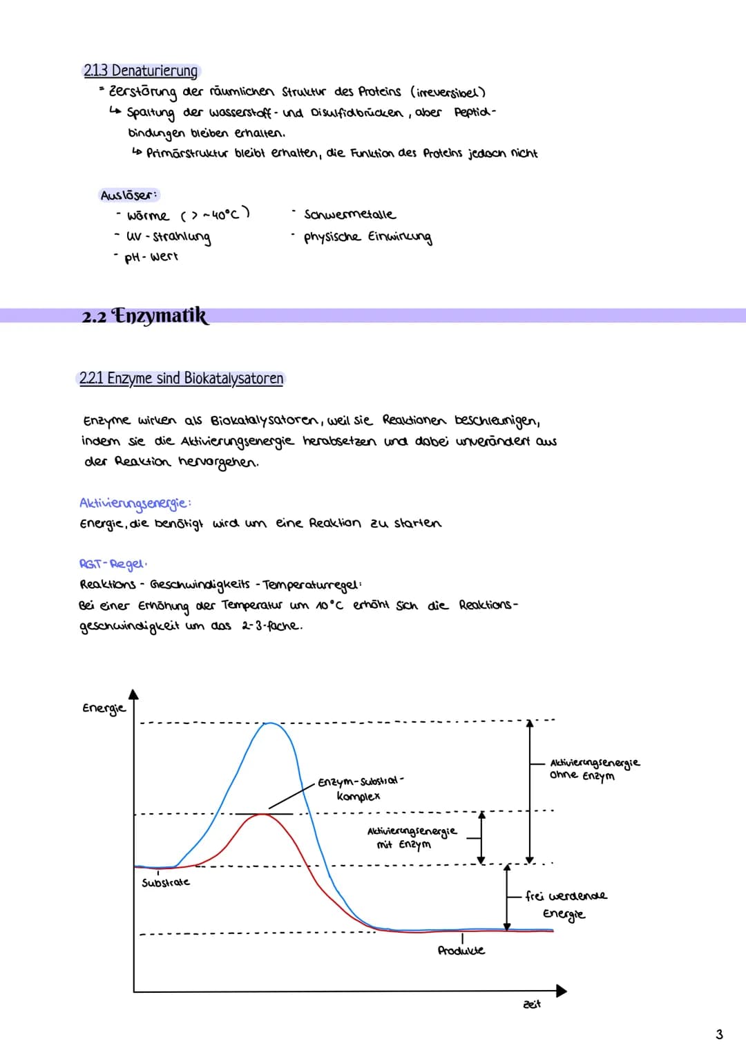 # Enzymatik

2.1 Proteine

2.1.1 Aufbau und Funktion von Proteinen

- Proteine bestehen aus Ketten von Aminosäuren (AS über Peptidbindungen
