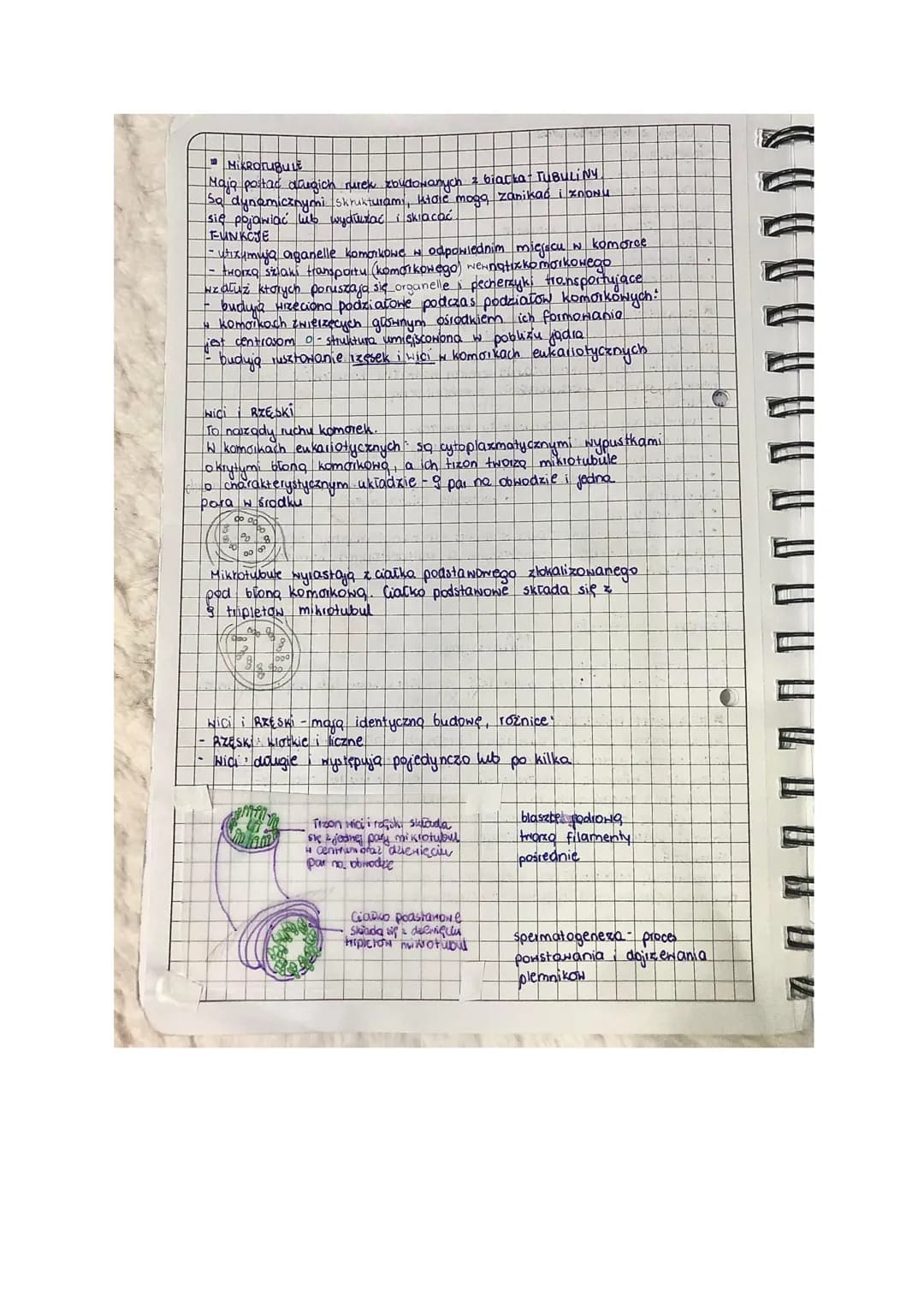 jony nie preejido dyfuzją prosto ze względu na ich Tadunek

lekcja

I. Yadro komdikоnе. Сутоха..

Jadro homdikone
- peini nadizçang rolę w f