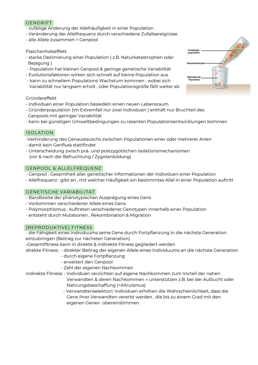 ![dino](null)

ABITURZUSAMMENFASSUNG

2023

Biologie LK

Evolution # Entwicklung der Evolutionstheorie

Carl von Linné
(1707-1778)
-Theorie: