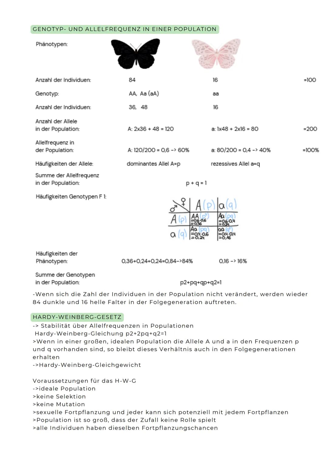 ![dino](null)

ABITURZUSAMMENFASSUNG

2023

Biologie LK

Evolution # Entwicklung der Evolutionstheorie

Carl von Linné
(1707-1778)
-Theorie: