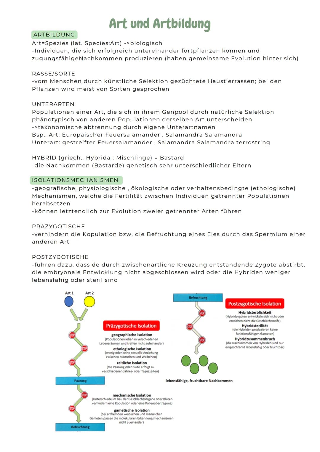 ![dino](null)

ABITURZUSAMMENFASSUNG

2023

Biologie LK

Evolution # Entwicklung der Evolutionstheorie

Carl von Linné
(1707-1778)
-Theorie: