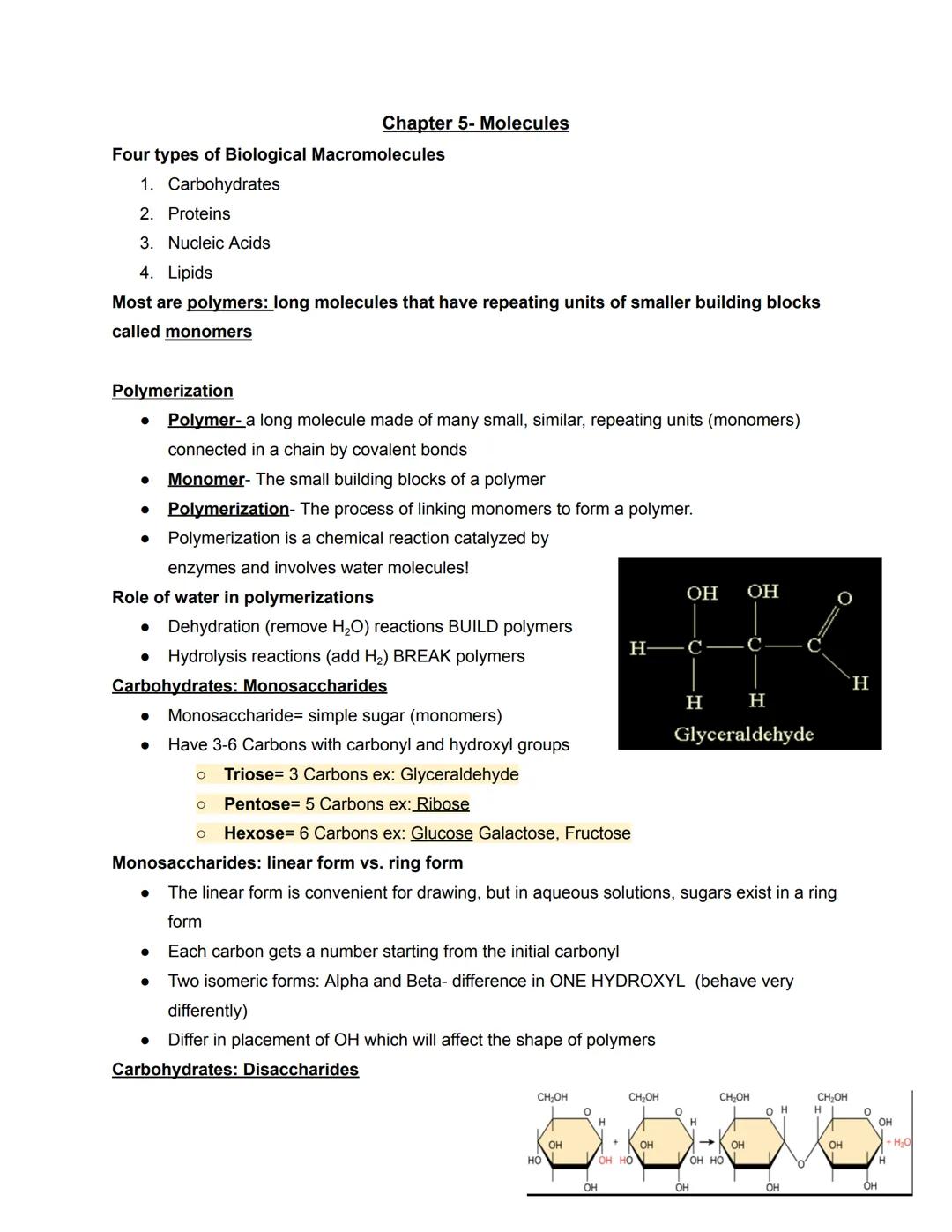# Chapter 5- Molecules

Four types of Biological Macromolecules

1. Carbohydrates
2. Proteins
3. Nucleic Acids
4. Lipids

Most are polymers: