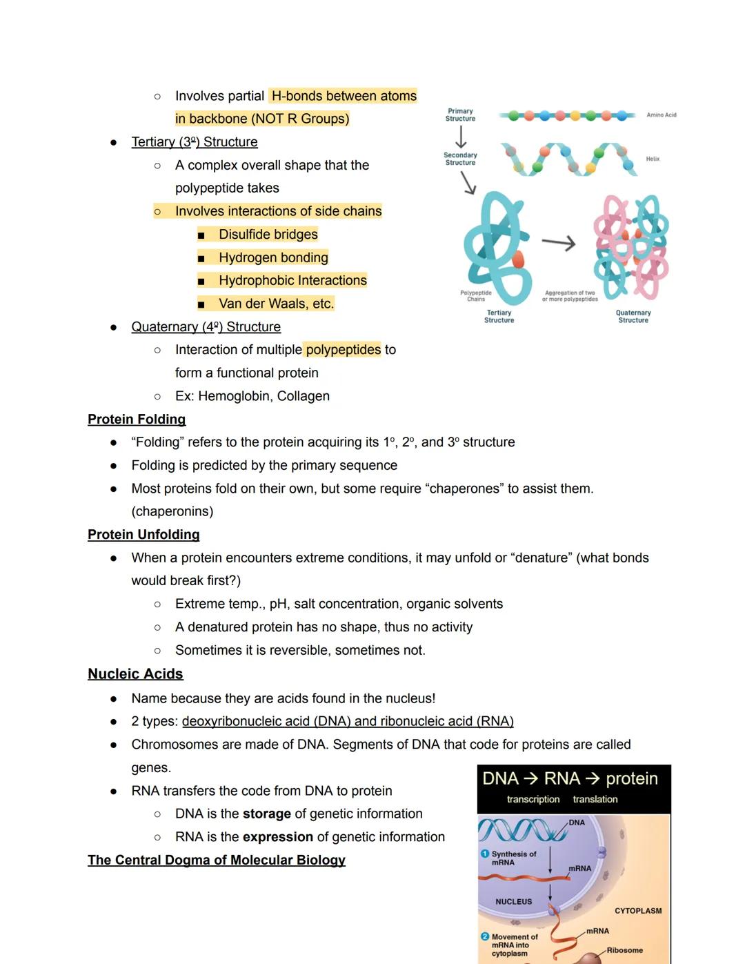 # Chapter 5- Molecules

Four types of Biological Macromolecules

1. Carbohydrates
2. Proteins
3. Nucleic Acids
4. Lipids

Most are polymers: