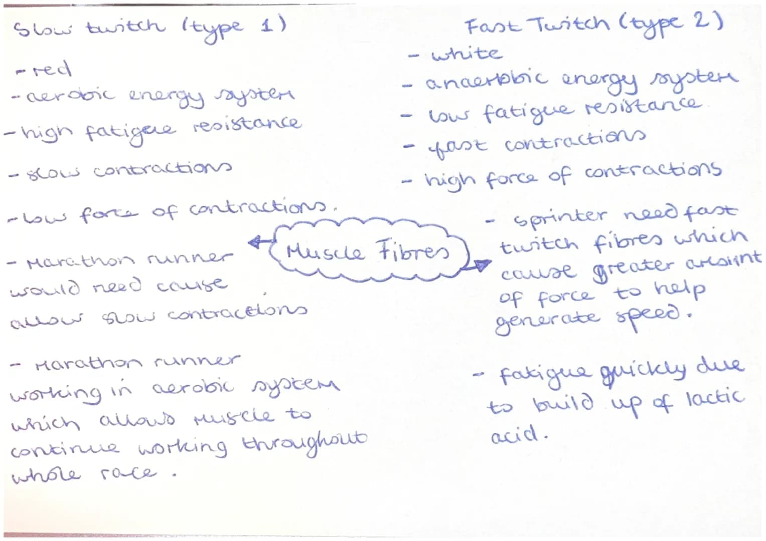 - Agonist (prince Mover)
- Muscle that controls
Moverrent.

- Antagonist
- during movement this is
the muscle that relaxes
- to allow usveie