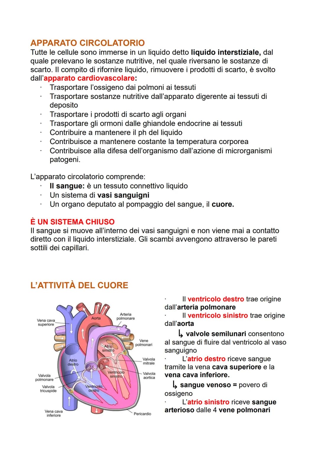 APPARATO CIRCOLATORIO

Tutte le cellule sono immerse in un liquido detto liquido interstiziale, dal
quale prelevano le sostanze nutritive, n